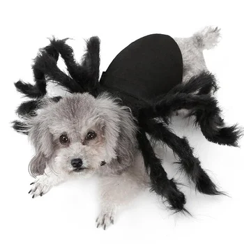 Kućna Mačka Odjeća za pse Cosplay Odijelo Halloween Kostim Pauk za kućne ljubimce Odijela Štene psa